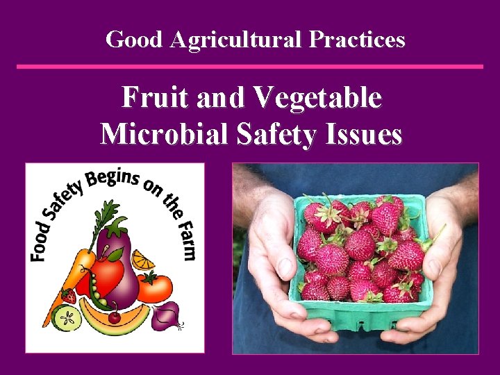 Good Agricultural Practices Fruit and Vegetable Microbial Safety Issues 