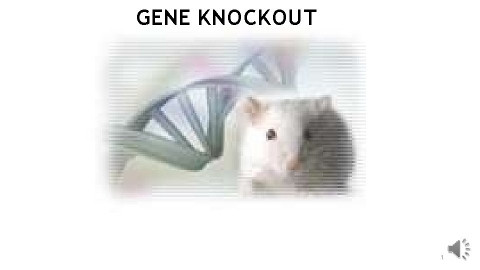 GENE KNOCKOUT 1 