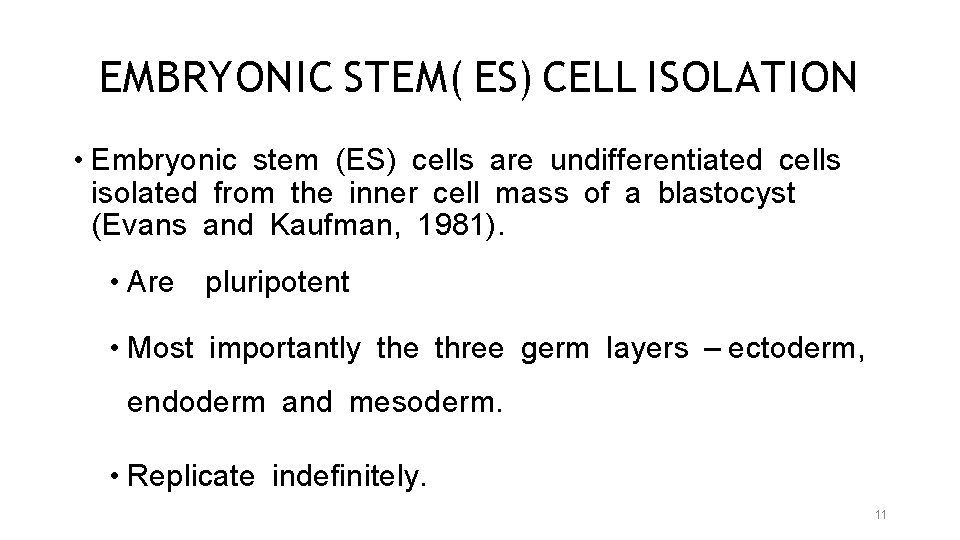 EMBRYONIC STEM( ES) CELL ISOLATION • Embryonic stem (ES) cells are undifferentiated cells isolated