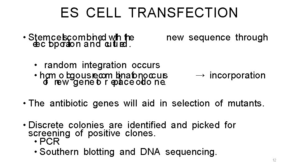 ES CELL TRANSFECTION • St em c e lsc o m b in ed