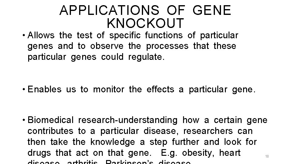 APPLICATIONS OF GENE KNOCKOUT • Allows the test of specific functions of particular genes