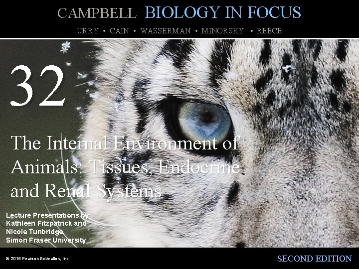 CAMPBELL BIOLOGY IN FOCUS URRY • CAIN • WASSERMAN • MINORSKY • REECE 32