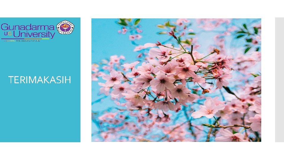 TERIMAKASIH 