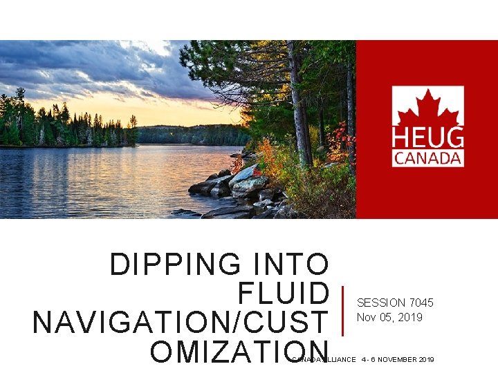 DIPPING INTO FLUID NAVIGATION/CUST OMIZATION SESSION 7045 Nov 05, 2019 CANADA ALLIANCE 4 -