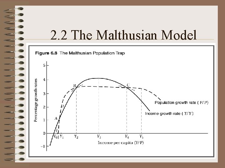 2. 2 The Malthusian Model 