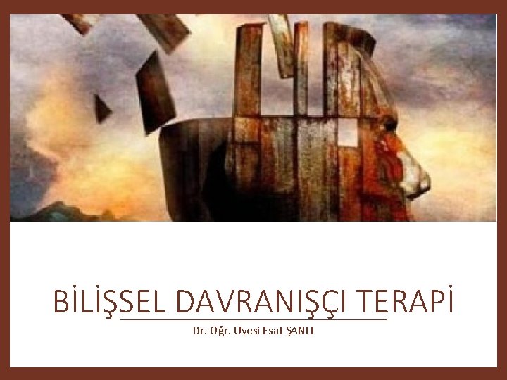 BİLİŞSEL DAVRANIŞÇI TERAPİ Dr. Öğr. Üyesi Esat ŞANLI 