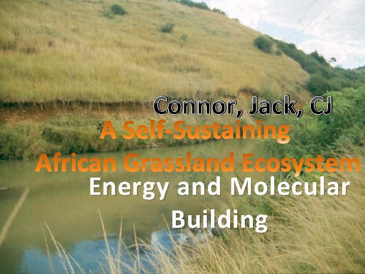 Connor, Jack, CJ Energy and Molecular Building 
