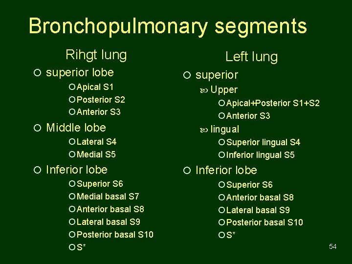 Bronchopulmonary segments Rihgt lung ¡ superior lobe ¡ Apical S 1 ¡ Posterior S