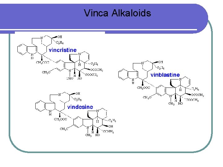 Vinca Alkaloids 