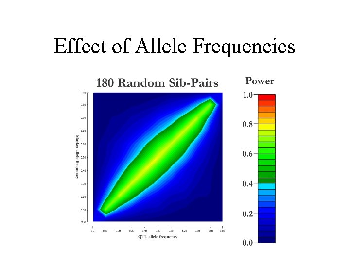 Effect of Allele Frequencies 