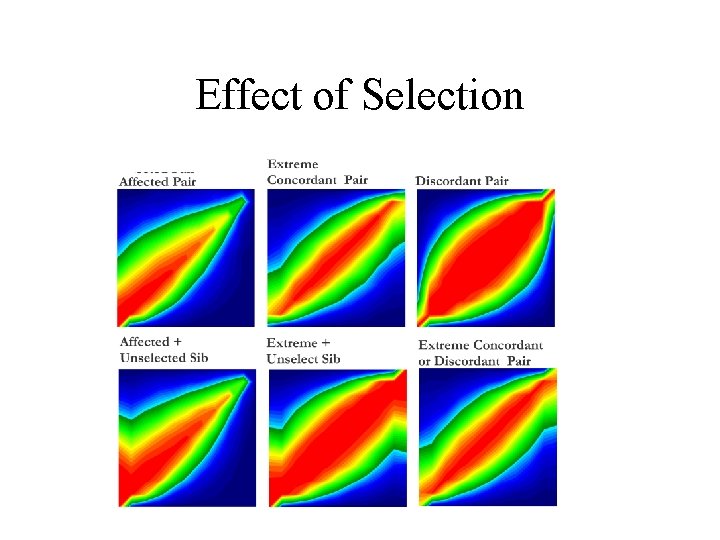 Effect of Selection 