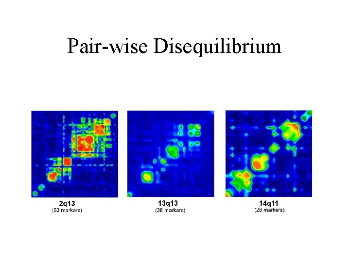 Pair-wise Disequilibrium 