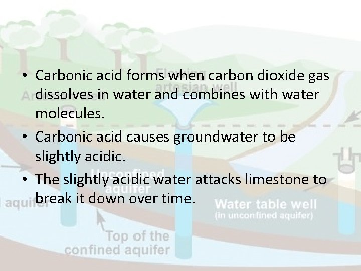  • Carbonic acid forms when carbon dioxide gas dissolves in water and combines