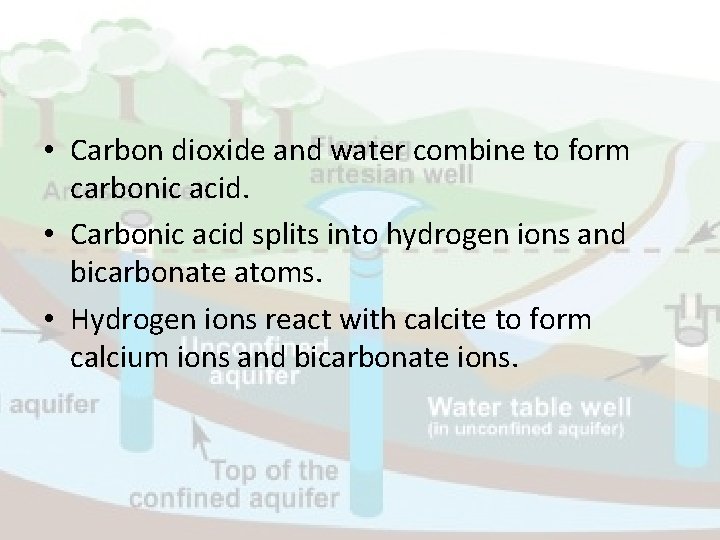  • Carbon dioxide and water combine to form carbonic acid. • Carbonic acid