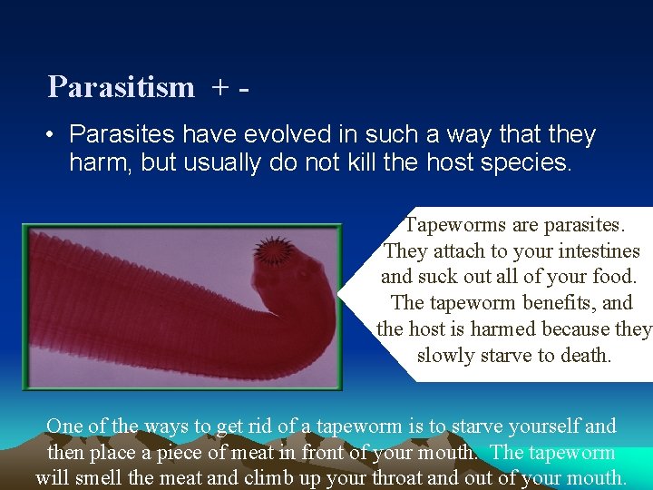 Parasitism + • Parasites have evolved in such a way that they harm, but