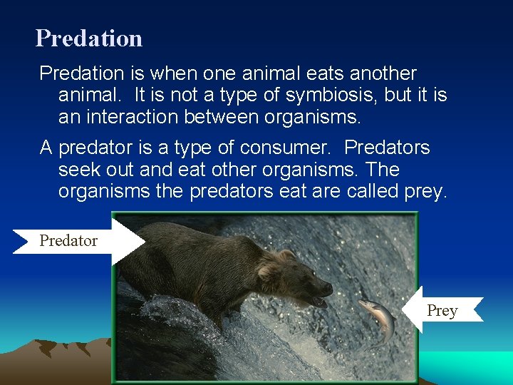 Predation is when one animal eats another animal. It is not a type of