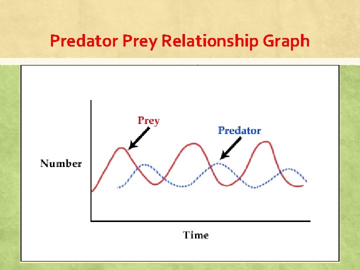 Predator Prey Relationship Graph 