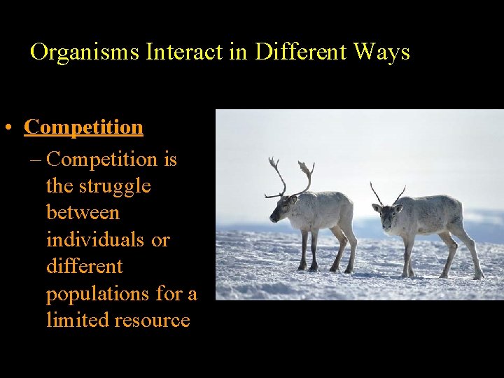 Organisms Interact in Different Ways • Competition – Competition is the struggle between individuals