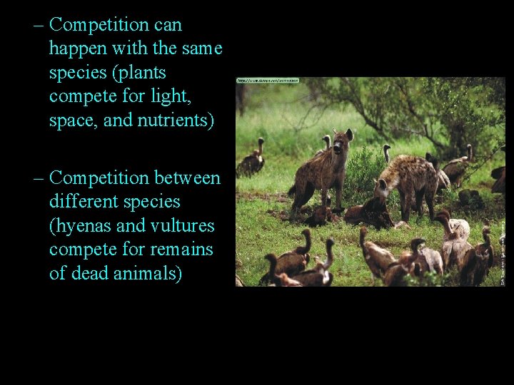 – Competition can happen with the same species (plants compete for light, space, and