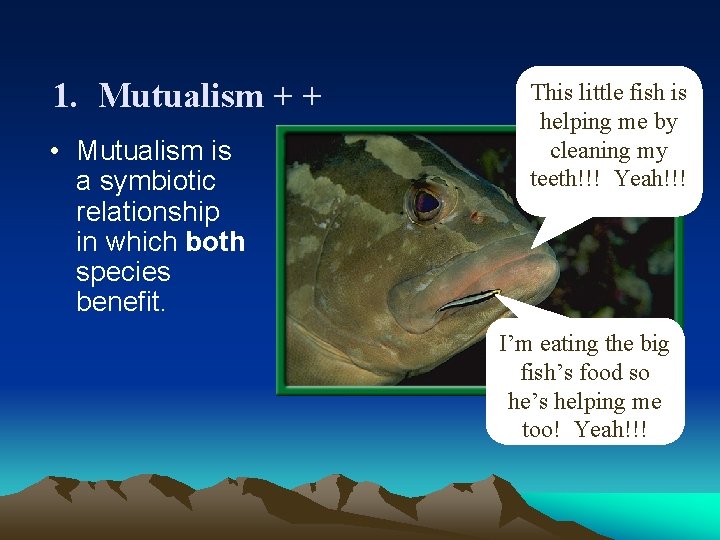 1. Mutualism + + • Mutualism is a symbiotic relationship in which both species