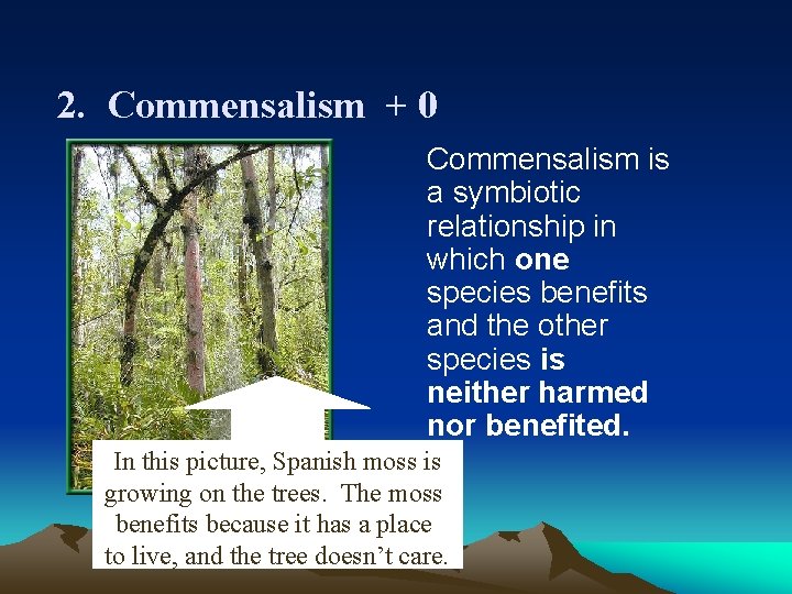 2. Commensalism + 0 Commensalism is a symbiotic relationship in which one species benefits