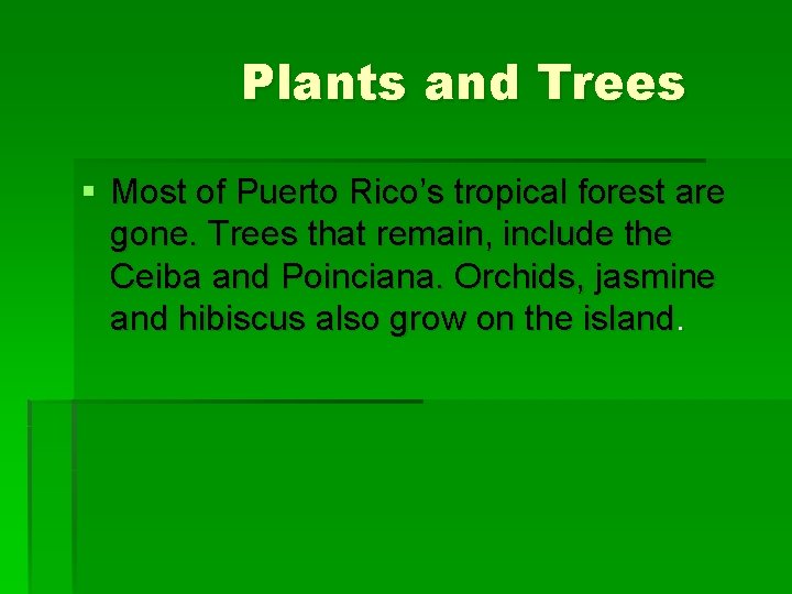 Plants and Trees § Most of Puerto Rico’s tropical forest are gone. Trees that