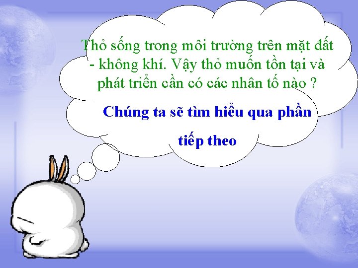 Thỏ sống trong môi trường trên mặt đất - không khí. Vậy thỏ muốn