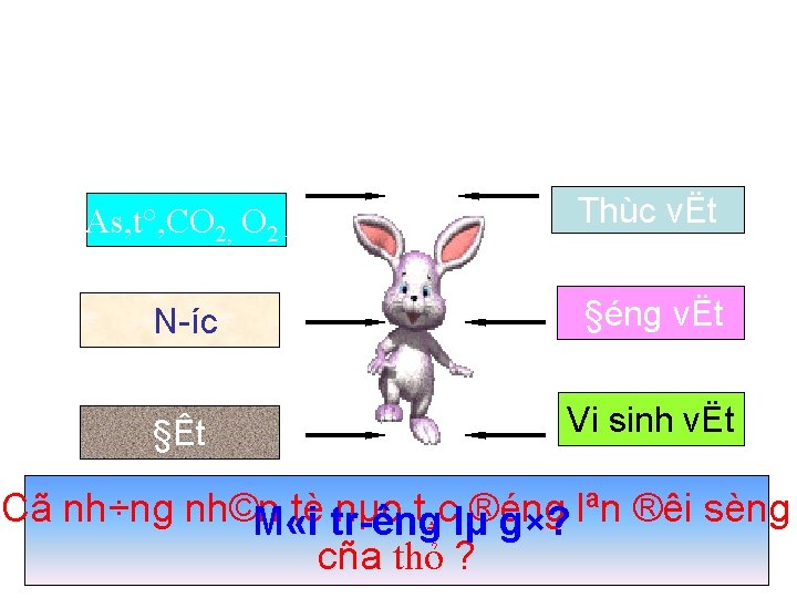 As, t°, CO 2, O 2 Thùc vËt N íc §éng vËt §Êt Vi