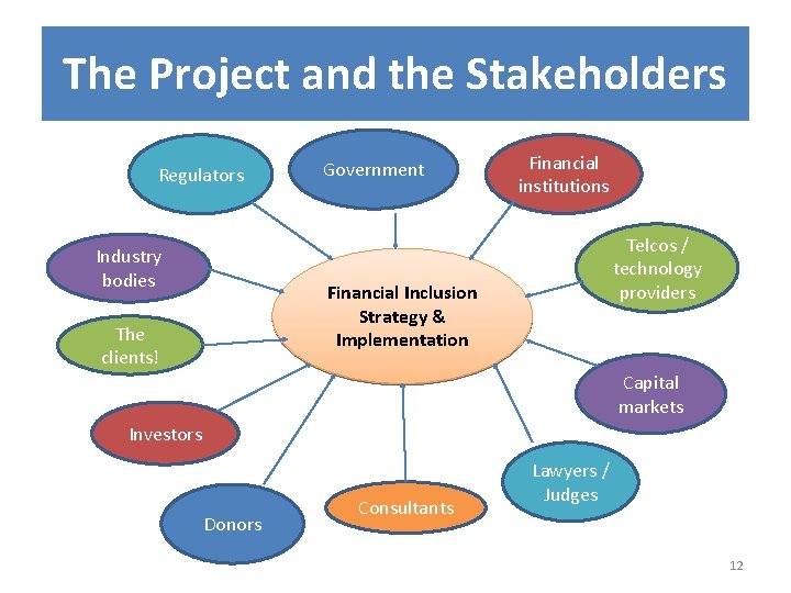 The Project and the Stakeholders Regulators Industry bodies Government Financial institutions Telcos / technology