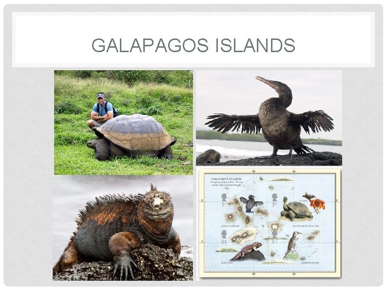 GALAPAGOS ISLANDS 