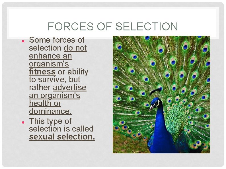 FORCES OF SELECTION Some forces of selection do not enhance an organism's fitness or