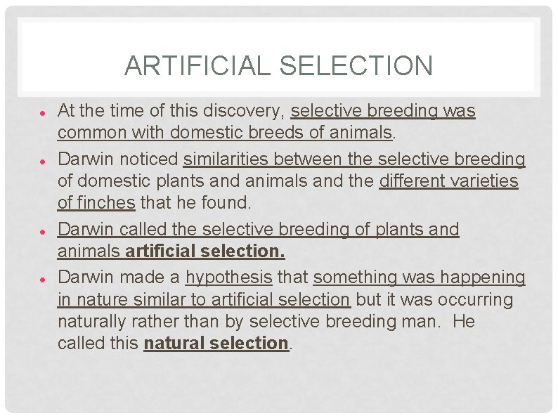 ARTIFICIAL SELECTION At the time of this discovery, selective breeding was common with domestic