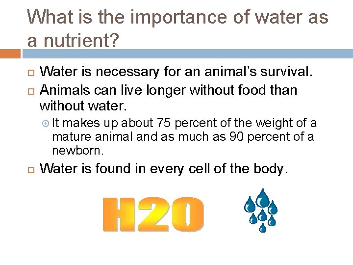 What is the importance of water as a nutrient? Water is necessary for an