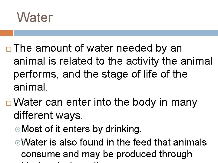 Water The amount of water needed by an animal is related to the activity