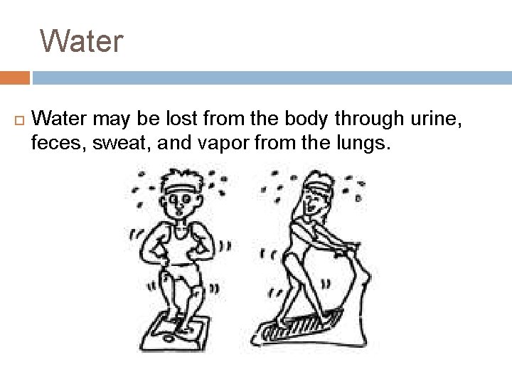 Water may be lost from the body through urine, feces, sweat, and vapor from