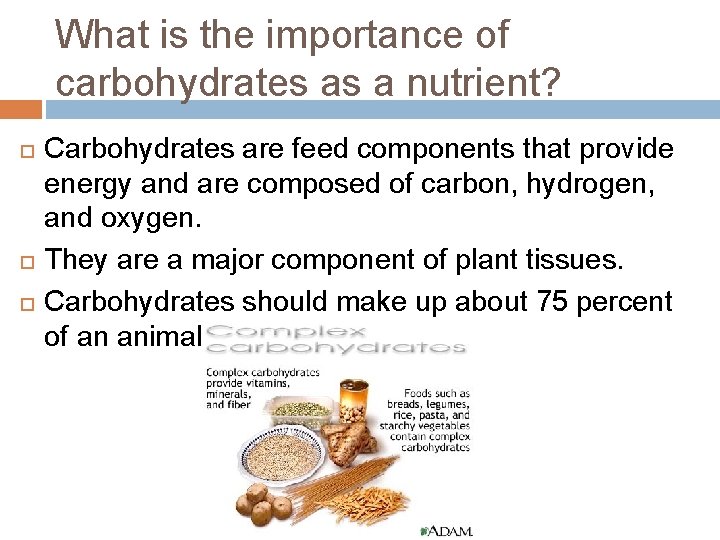 What is the importance of carbohydrates as a nutrient? Carbohydrates are feed components that