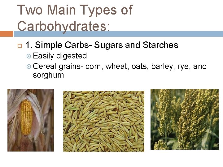 Two Main Types of Carbohydrates: 1. Simple Carbs- Sugars and Starches Easily digested Cereal