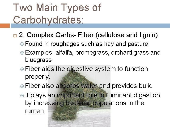 Two Main Types of Carbohydrates: 2. Complex Carbs- Fiber (cellulose and lignin) Found in