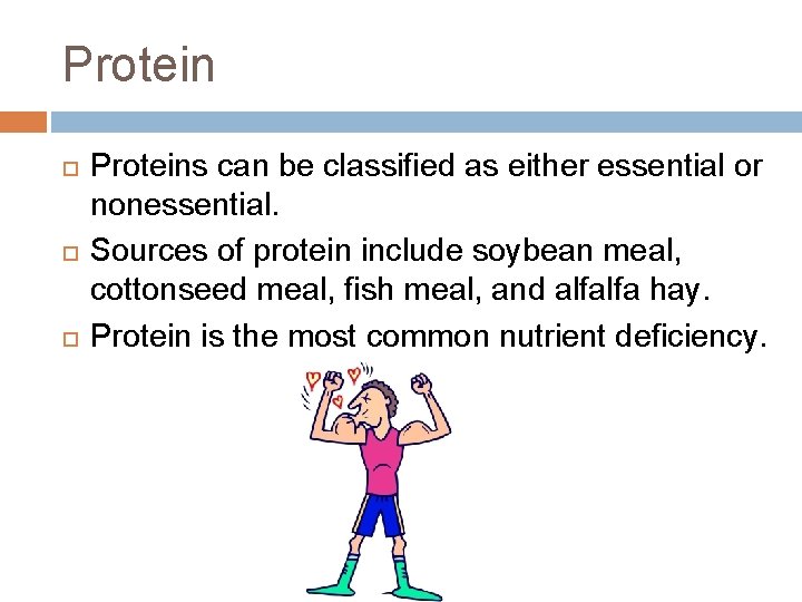 Protein Proteins can be classified as either essential or nonessential. Sources of protein include