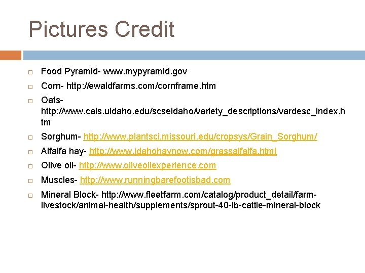 Pictures Credit Food Pyramid- www. mypyramid. gov Corn- http: //ewaldfarms. com/cornframe. htm Oatshttp: //www.