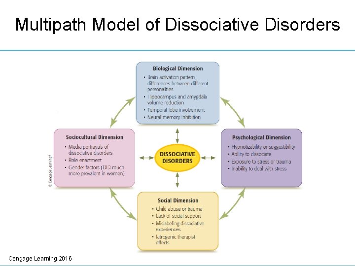 Multipath Model of Dissociative Disorders Cengage Learning 2016 