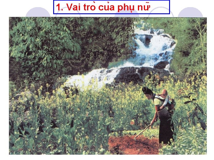 1. Vai tro cu a phu nư 