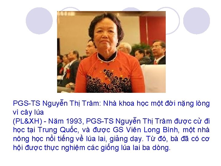 PGS-TS Nguyễn Thị Trâm: Nhà khoa học một đời nặng lòng vì cây lúa