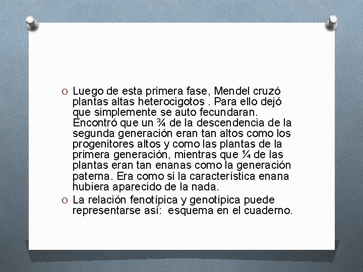 O Luego de esta primera fase, Mendel cruzó plantas altas heterocigotos. Para ello dejó