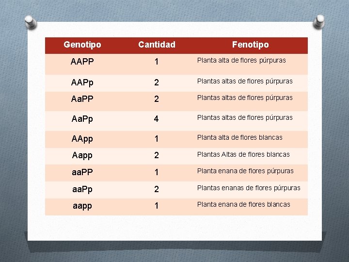 Genotipo Cantidad Fenotipo AAPP 1 Planta alta de flores púrpuras AAPp 2 Plantas altas