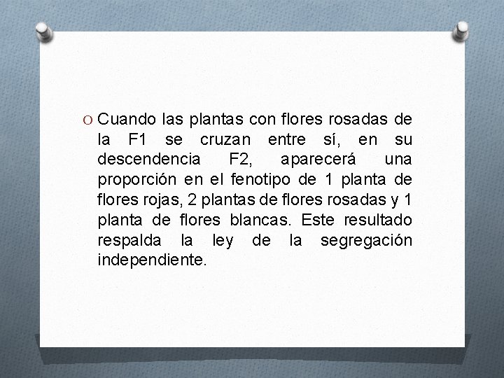 O Cuando las plantas con flores rosadas de la F 1 se cruzan entre