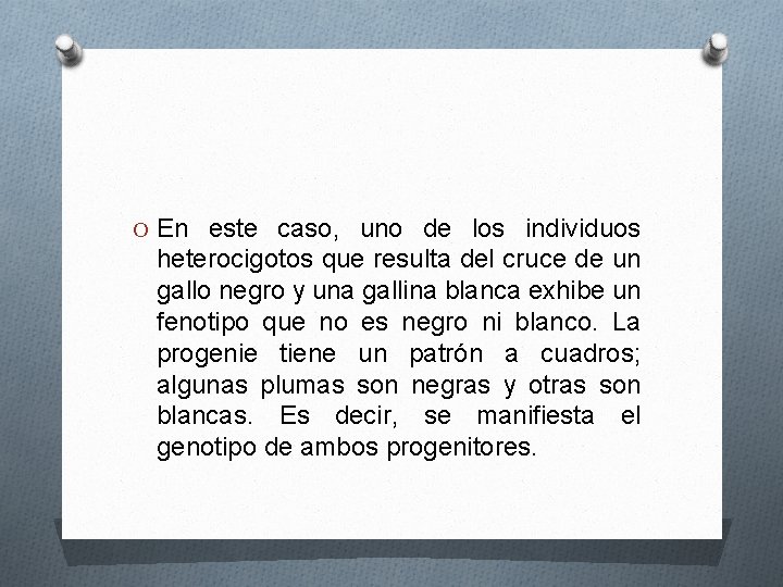 O En este caso, uno de los individuos heterocigotos que resulta del cruce de