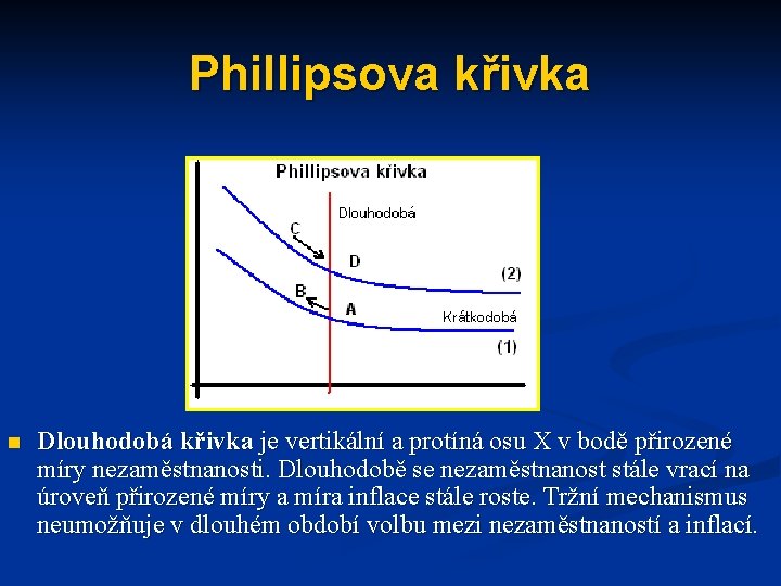 Phillipsova křivka n Dlouhodobá křivka je vertikální a protíná osu X v bodě přirozené