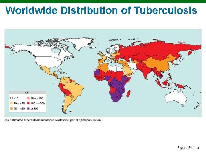 Worldwide Distribution of Tuberculosis Figure 24. 11 a 