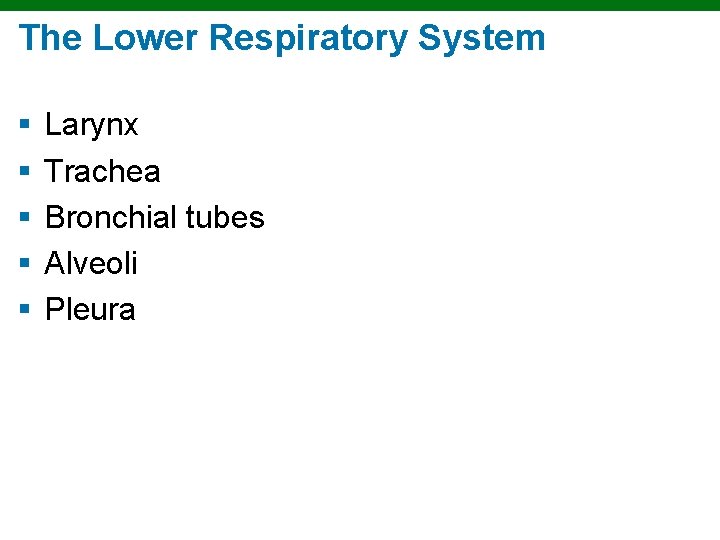 The Lower Respiratory System § § § Larynx Trachea Bronchial tubes Alveoli Pleura 